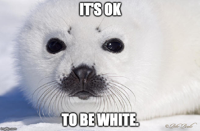 seal of approval | IT'S OK; TO BE WHITE. | image tagged in racial harmony,equality | made w/ Imgflip meme maker