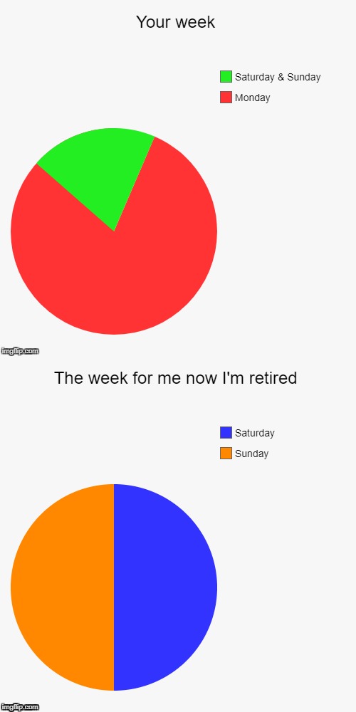 Inspired by JohnT1129 | A; A | image tagged in pie charts,retirement,work sucks,weekend | made w/ Imgflip meme maker