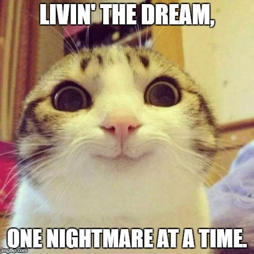 Smiling Cat Meme | LIVIN' THE DREAM, ONE NIGHTMARE AT A TIME. | image tagged in memes,smiling cat | made w/ Imgflip meme maker