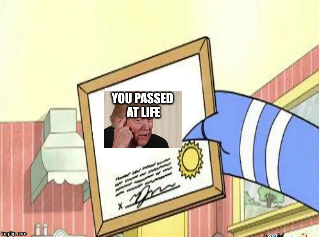 Passed At Life | YOU PASSED AT LIFE | image tagged in passed out,too much,life,trump,fails | made w/ Imgflip meme maker