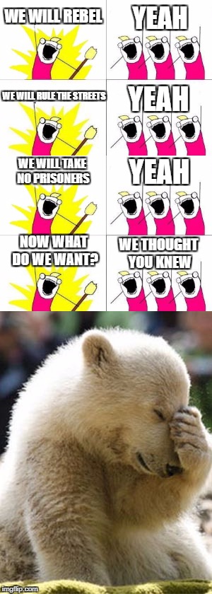 We thought you knew... | YEAH; WE WILL REBEL; WE WILL RULE THE STREETS; YEAH; WE WILL TAKE NO PRISONERS; YEAH; NOW WHAT DO WE WANT? WE THOUGHT YOU KNEW | image tagged in what do we want,rebel,funny,hilarious,facepalm | made w/ Imgflip meme maker
