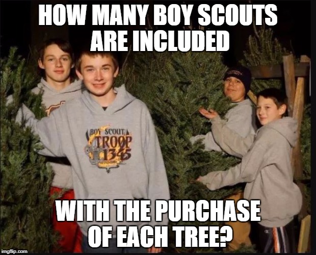 Boy Scout Christmas Tree Sales | HOW MANY BOY SCOUTS ARE INCLUDED; WITH THE PURCHASE OF EACH TREE? | image tagged in boy scouts,christmas tree,pedobear,boys | made w/ Imgflip meme maker