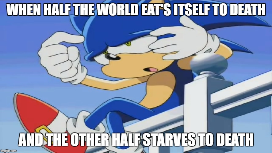 Sharing is Caring | WHEN HALF THE WORLD EAT'S ITSELF TO DEATH; AND THE OTHER HALF STARVES TO DEATH | image tagged in sonic can't remember - sonic x,obesity,ameria,share | made w/ Imgflip meme maker