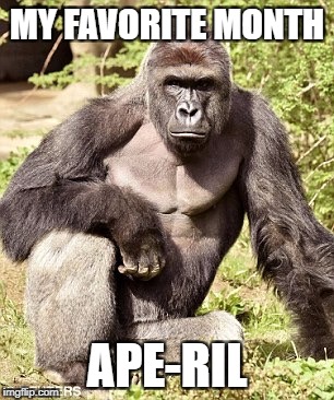 Ape | MY FAVORITE MONTH; APE-RIL | image tagged in ape | made w/ Imgflip meme maker
