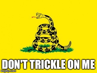 Gadsden Flag | DON'T TRICKLE ON ME | image tagged in gadsden flag | made w/ Imgflip meme maker
