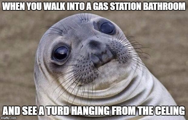 What a "crappy" situation | WHEN YOU WALK INTO A GAS STATION BATHROOM; AND SEE A TURD HANGING FROM THE CELING | image tagged in memes,awkward moment sealion,funny,crap,bathroom | made w/ Imgflip meme maker