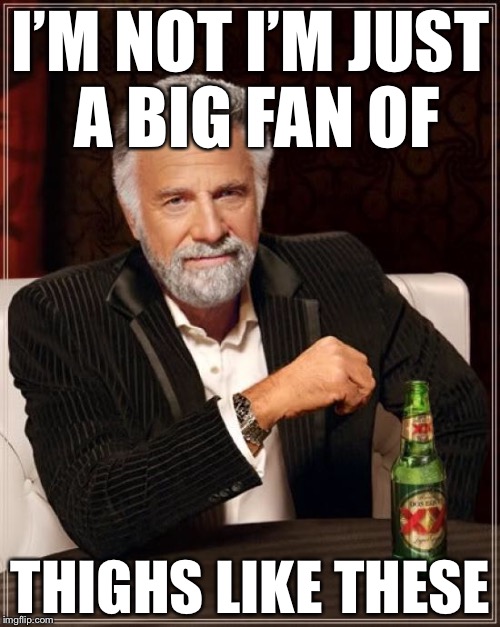 The Most Interesting Man In The World Meme | I’M NOT I’M JUST A BIG FAN OF THIGHS LIKE THESE | image tagged in memes,the most interesting man in the world | made w/ Imgflip meme maker