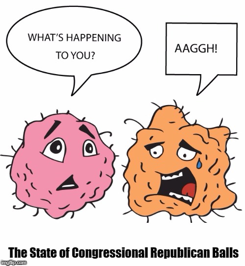 No Wonder Congressional Republicans are Impotent | The State of Congressional Republican Balls | image tagged in congress,republicans,balls | made w/ Imgflip meme maker