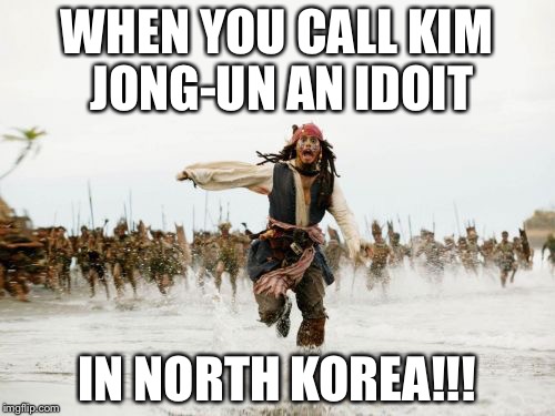 Jack Sparrow Being Chased | WHEN YOU CALL KIM JONG-UN AN IDOIT; IN NORTH KOREA!!! | image tagged in memes,jack sparrow being chased | made w/ Imgflip meme maker