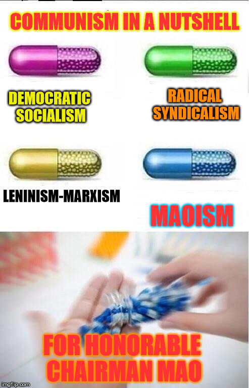 Choose one | COMMUNISM IN A NUTSHELL; RADICAL SYNDICALISM; DEMOCRATIC SOCIALISM; LENINISM-MARXISM; MAOISM; FOR HONORABLE CHAIRMAN MAO | image tagged in choose one | made w/ Imgflip meme maker