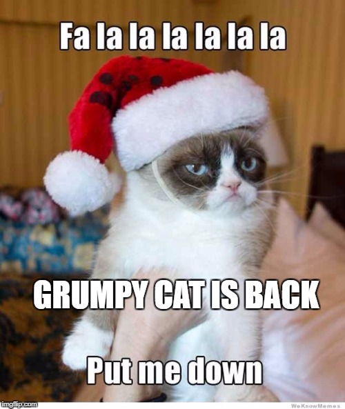 grumpy cat is back | GRUMPY CAT IS BACK | image tagged in grumpy cat christmas,grumpy cat | made w/ Imgflip meme maker