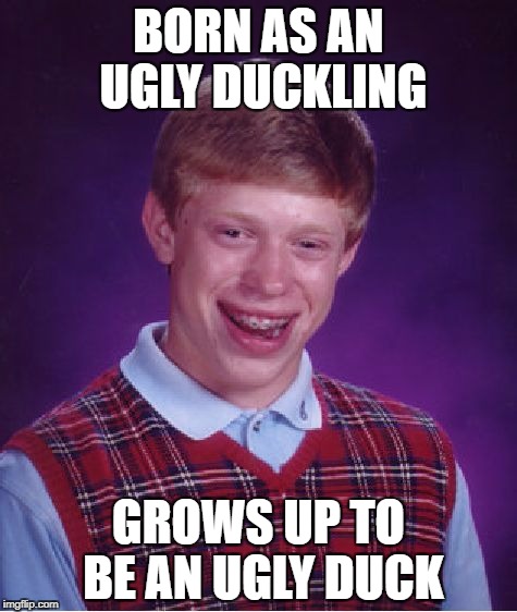 Nope, it wasn't a swan | BORN AS AN UGLY DUCKLING; GROWS UP TO BE AN UGLY DUCK | image tagged in memes,bad luck brian | made w/ Imgflip meme maker