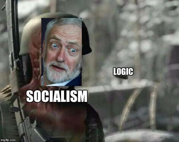 Sniper Elite Headshot | LOGIC; SOCIALISM | image tagged in sniper elite headshot | made w/ Imgflip meme maker