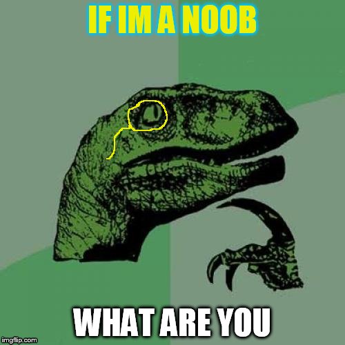 Philosoraptor Meme | IF IM A NOOB; WHAT ARE YOU | image tagged in memes,philosoraptor | made w/ Imgflip meme maker
