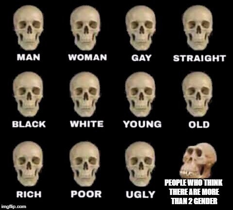 there are only 2 gender | PEOPLE WHO THINK THERE ARE MORE THAN 2 GENDER | image tagged in man woman gay straight skull,ssby,funny,memes | made w/ Imgflip meme maker