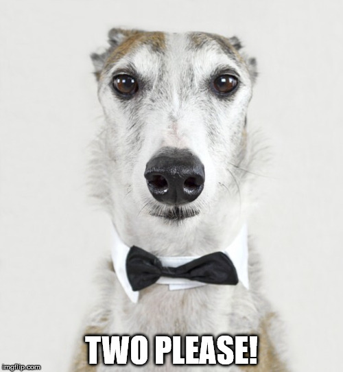 GREYHOUND | TWO PLEASE! | image tagged in greyhound | made w/ Imgflip meme maker