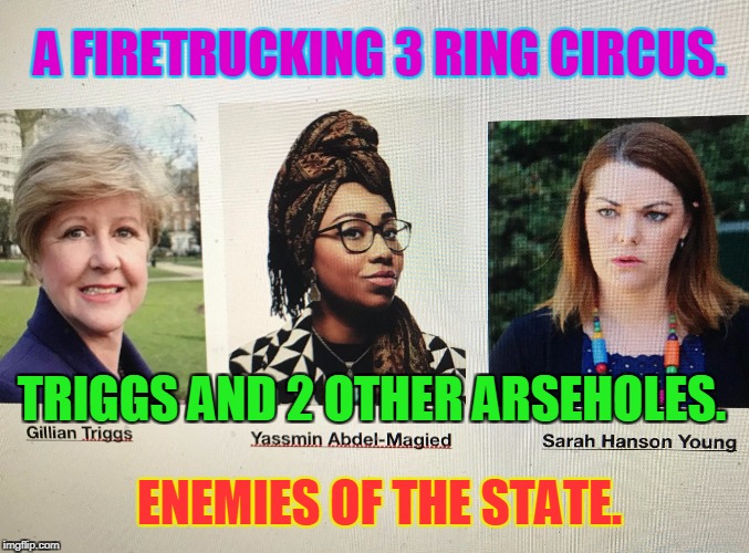 A FIRETRUCKING 3 RING CIRCUS. TRIGGS AND 2 OTHER ARSEHOLES. ENEMIES OF THE STATE. | image tagged in enemies of the state | made w/ Imgflip meme maker