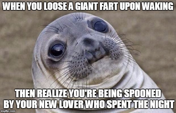 Oops | WHEN YOU LOOSE A GIANT FART UPON WAKING; THEN REALIZE YOU'RE BEING SPOONED BY YOUR NEW LOVER WHO SPENT THE NIGHT | image tagged in memes,awkward moment sealion,relationships,fart,embarassing | made w/ Imgflip meme maker