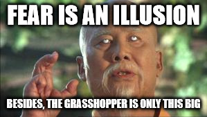grasshopper | FEAR IS AN ILLUSION; BESIDES, THE GRASSHOPPER IS ONLY THIS BIG | image tagged in grasshopper | made w/ Imgflip meme maker