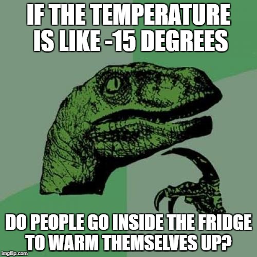 Philosoraptor Meme | IF THE TEMPERATURE IS LIKE -15 DEGREES; DO PEOPLE GO INSIDE THE FRIDGE TO WARM THEMSELVES UP? | image tagged in memes,philosoraptor | made w/ Imgflip meme maker