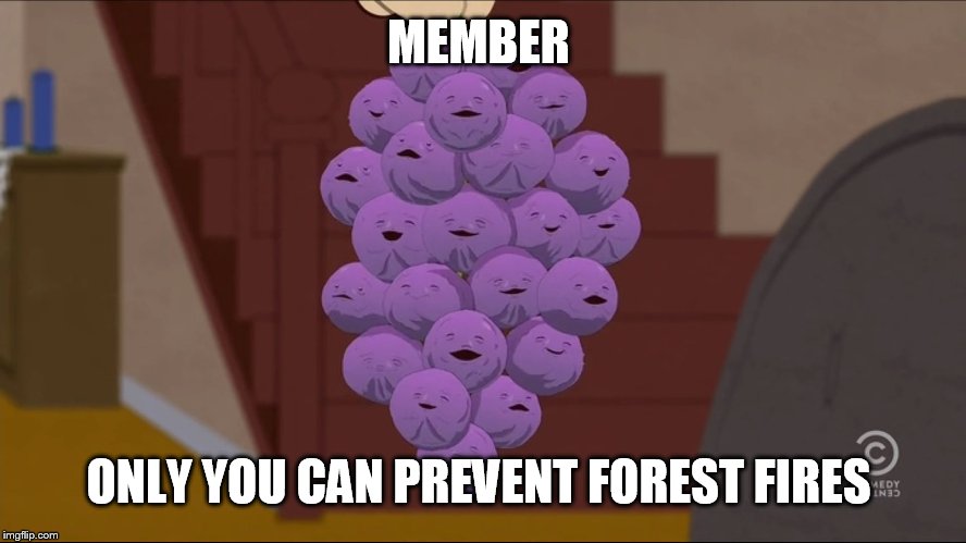 Member Berries Meme | MEMBER; ONLY YOU CAN PREVENT FOREST FIRES | image tagged in memes,member berries,smokey the bear | made w/ Imgflip meme maker