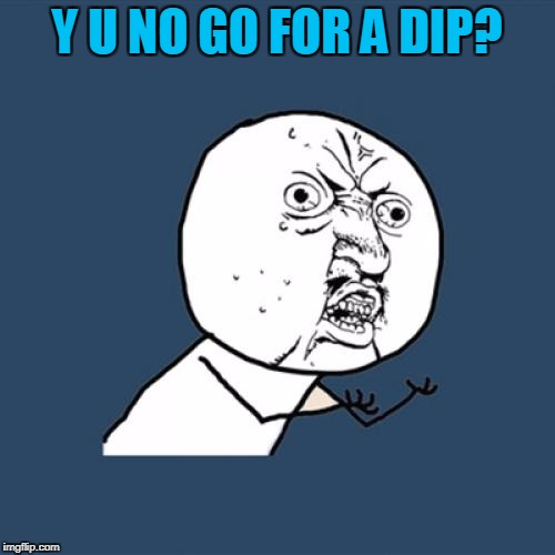 Y U No Meme | Y U NO GO FOR A DIP? | image tagged in memes,y u no | made w/ Imgflip meme maker