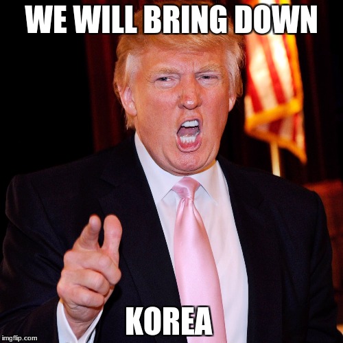 Don Trump Insane Yell | WE WILL BRING DOWN; KOREA | image tagged in don trump insane yell | made w/ Imgflip meme maker