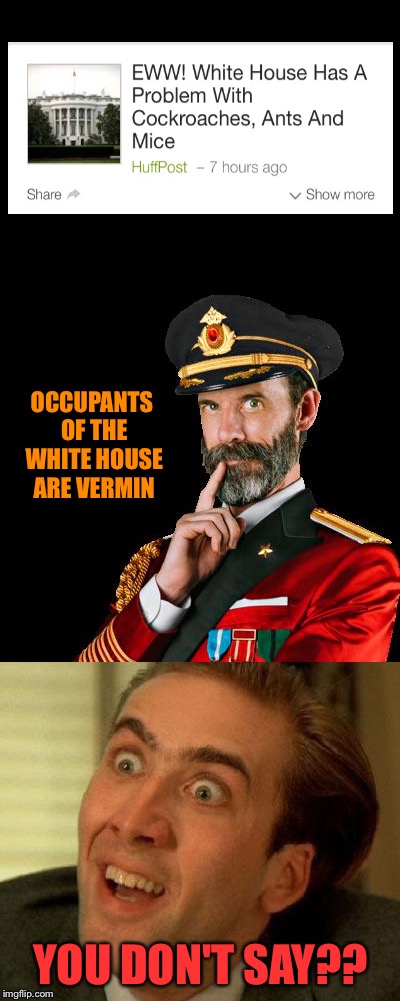 Straight from the swamp! | OCCUPANTS OF THE WHITE HOUSE ARE VERMIN; YOU DON'T SAY?? | image tagged in white house,vermin | made w/ Imgflip meme maker