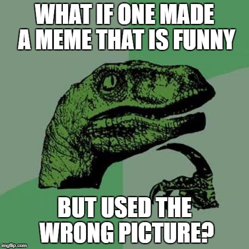 Philosoraptor Meme | WHAT IF ONE MADE A MEME THAT IS FUNNY; BUT USED THE WRONG PICTURE? | image tagged in memes,philosoraptor | made w/ Imgflip meme maker