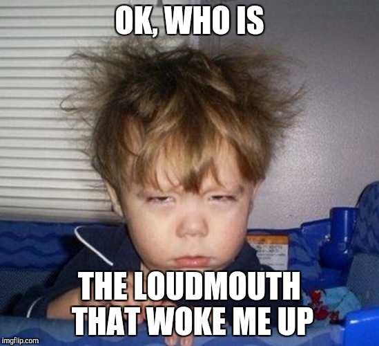 OK, WHO IS; THE LOUDMOUTH THAT WOKE ME UP | made w/ Imgflip meme maker