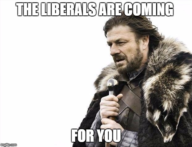 THE LIBERALS ARE COMING FOR YOU | image tagged in memes,brace yourselves x is coming | made w/ Imgflip meme maker
