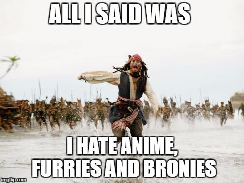 Jack Sparrow Being Chased Meme | ALL I SAID WAS; I HATE ANIME, FURRIES AND BRONIES | image tagged in memes,jack sparrow being chased | made w/ Imgflip meme maker