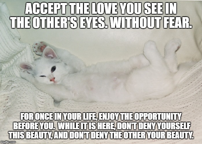 ACCEPT THE LOVE YOU SEE IN THE OTHER'S EYES. WITHOUT FEAR. FOR ONCE IN YOUR LIFE, ENJOY THE OPPORTUNITY BEFORE YOU.  WHILE IT IS HERE, DON'T DENY YOURSELF THIS BEAUTY, AND DON'T DENY THE OTHER YOUR BEAUTY. | image tagged in bellecherie surrenders | made w/ Imgflip meme maker