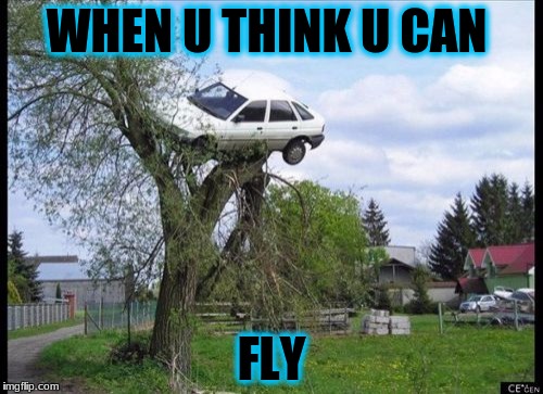 Secure Parking Meme | WHEN U THINK U CAN; FLY | image tagged in memes,secure parking | made w/ Imgflip meme maker