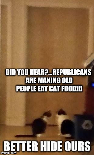 DID YOU HEAR?...REPUBLICANS ARE MAKING OLD PEOPLE EAT CAT FOOD!!! BETTER HIDE OURS | image tagged in cat chat | made w/ Imgflip meme maker