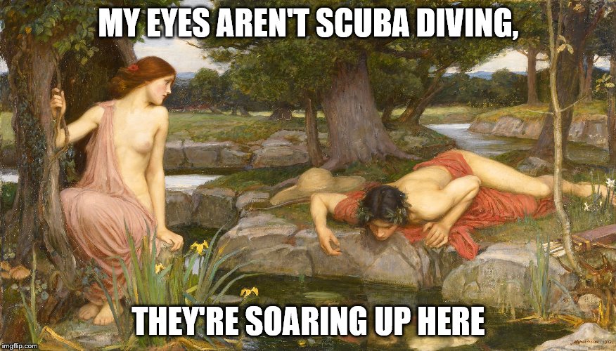 Narcissistic Love v2 | MY EYES AREN'T SCUBA DIVING, THEY'RE SOARING UP HERE | image tagged in narcissistic love v2 | made w/ Imgflip meme maker