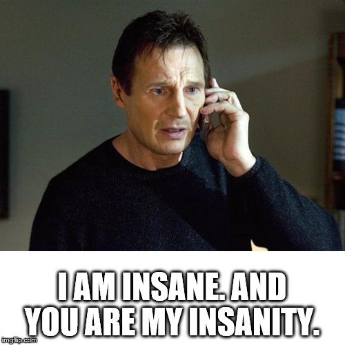 I AM INSANE. AND YOU ARE MY INSANITY. | made w/ Imgflip meme maker