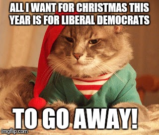 All I want for Christmas | ALL I WANT FOR CHRISTMAS THIS YEAR IS FOR LIBERAL DEMOCRATS; TO GO AWAY! | image tagged in all i want for christmas | made w/ Imgflip meme maker