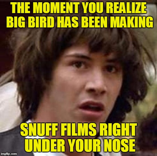 Conspiracy Keanu Meme | THE MOMENT YOU REALIZE BIG BIRD HAS BEEN MAKING SNUFF FILMS RIGHT UNDER YOUR NOSE | image tagged in memes,conspiracy keanu | made w/ Imgflip meme maker