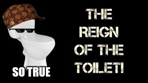 The Reign of the Toilet! | SO TRUE | image tagged in the reign of the toilet,scumbag,deal with it,so true,funny | made w/ Imgflip meme maker