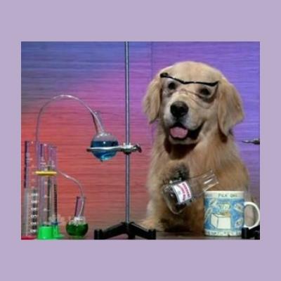 High Quality Dog Scientist Blank Meme Template