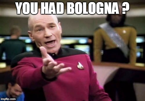 Picard Wtf Meme | YOU HAD BOLOGNA ? | image tagged in memes,picard wtf | made w/ Imgflip meme maker