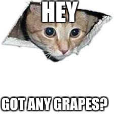 HEY; GOT ANY GRAPES? | image tagged in gotanygrapes,ducksong,ceilinggrapes | made w/ Imgflip meme maker