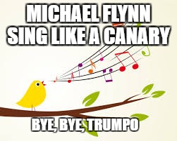 bye bye  | MICHAEL FLYNN SING LIKE A CANARY; BYE, BYE, TRUMPO | image tagged in impeach trump | made w/ Imgflip meme maker