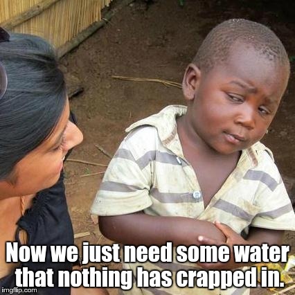 Third World Skeptical Kid Meme | Now we just need some water that nothing has crapped in. | image tagged in memes,third world skeptical kid | made w/ Imgflip meme maker