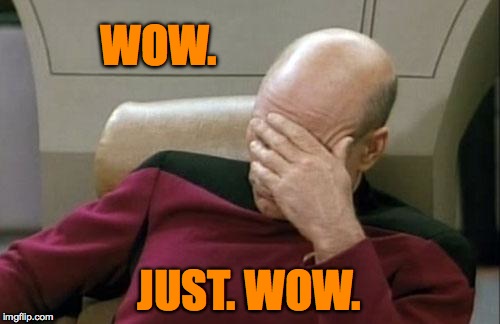 Captain Picard Facepalm Meme | WOW. JUST. WOW. | image tagged in memes,captain picard facepalm | made w/ Imgflip meme maker