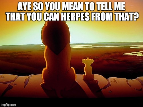 Lion King Meme | AYE SO YOU MEAN TO TELL ME THAT YOU CAN HERPES FROM THAT? | image tagged in memes,lion king | made w/ Imgflip meme maker