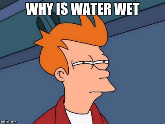 Futurama Fry Meme | WHY IS WATER WET | image tagged in memes,futurama fry | made w/ Imgflip meme maker