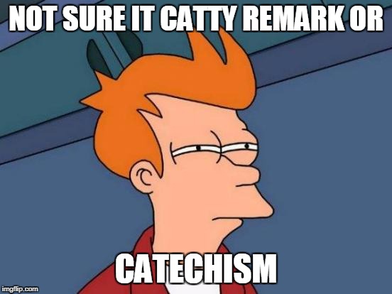 Futurama Fry Meme | NOT SURE IT CATTY REMARK OR CATECHISM | image tagged in memes,futurama fry | made w/ Imgflip meme maker