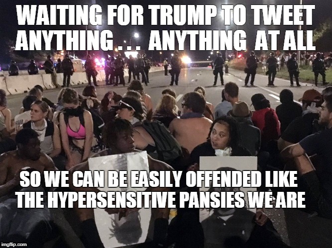 WAITING FOR TRUMP TO TWEET ANYTHING . . .  ANYTHING  AT ALL; SO WE CAN BE EASILY OFFENDED LIKE THE HYPERSENSITIVE PANSIES WE ARE | made w/ Imgflip meme maker